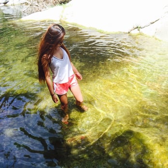 Hermit Falls - Hermit Falls algae'd-out kiddie pool lol - Hiking Near Me - Arcadia, California