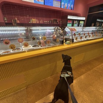 Van Leeuwen Ice cream - Adventures! - Ice Cream & Frozen Yogurt Near Me - Dallas, Texas Van Leeuwen Ice cream - Adventures! - Ice Cream & Frozen Yogurt Near Me - Dallas, Texas