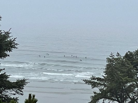 Agate Beach Motel by null