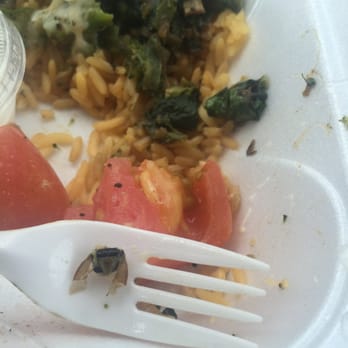 Mr Everything Cafe - Bug in Food. Management says its a shrimp shell!!! - Cheesesteaks Near Me - Riverdale, Georgia Mr Everything Cafe - Bug in Food. Management says its a shrimp shell!!! - Cheesesteaks Near Me - Riverdale, Georgia