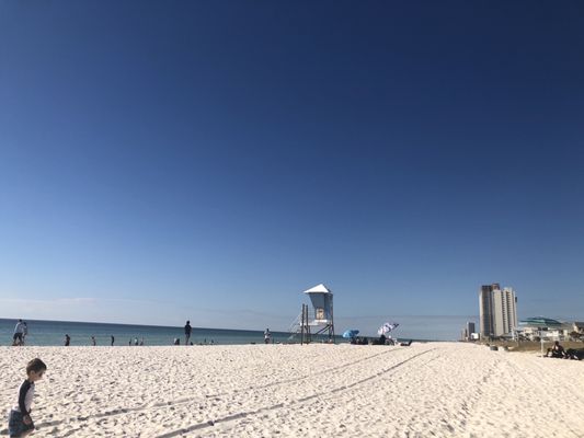 Dog Beach at Pier Park Panama City Beach