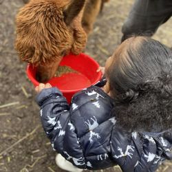 Enchanted Farms