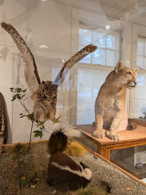 George B. Dorr Museum of Natural History by null