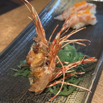Hana Matsuri Sushi - Glendale - Ama Ebi (SA) - Sushi Bars Near Me - Glendale, Colorado Hana Matsuri Sushi - Glendale - Ama Ebi (SA) - Sushi Bars Near Me - Glendale, Colorado