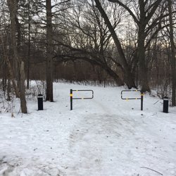 Kelling Woods