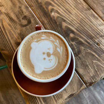 Macondo Coffee Roasters - Wesley Chapel - a cappuccino in a cup - Coffee & Tea Near Me - Wesley Chapel, Florida
