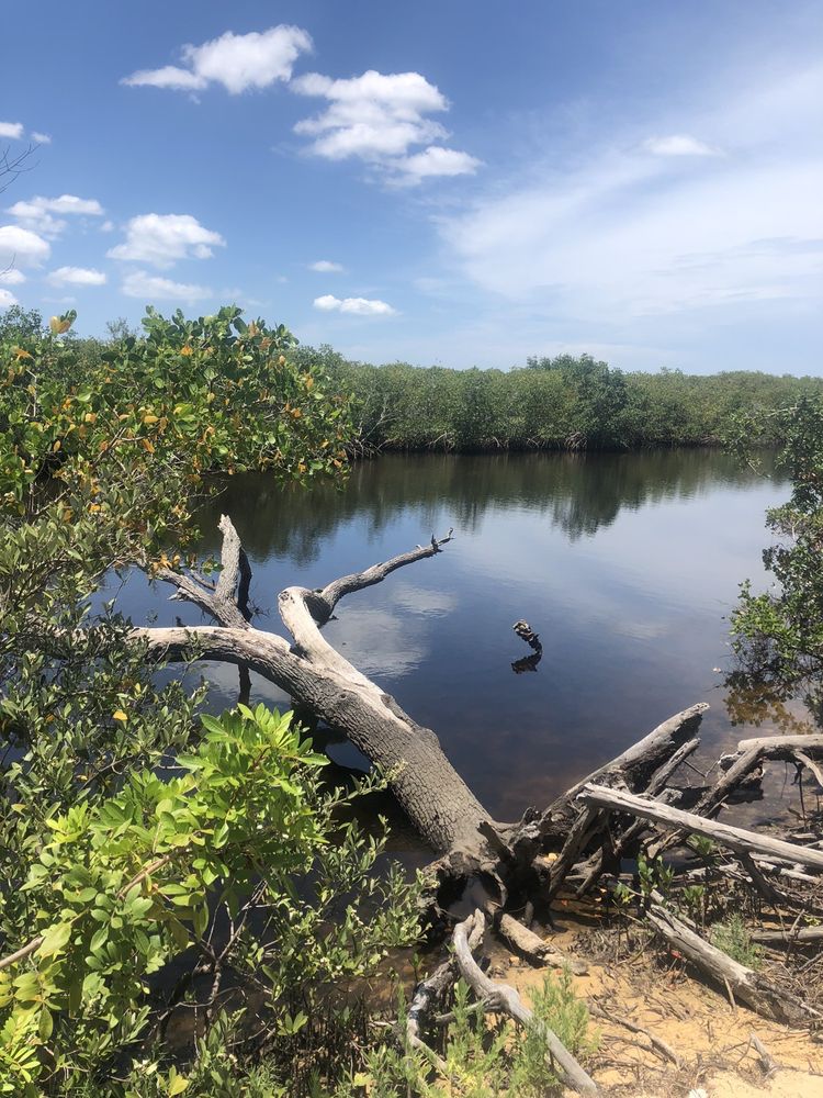 North Anclote River Nature Park Image