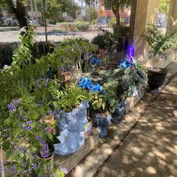 Artisan Florist - Family owned and operated with love!