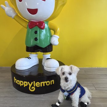 Happy Lemon - Service Dog SantaPaws approves of this boba tea shop - Bubble Tea Near Me - Orlando, Florida Happy Lemon - Service Dog SantaPaws approves of this boba tea shop - Bubble Tea Near Me - Orlando, Florida