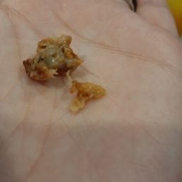 person's hand holding a piece of food person's hand holding a piece of food