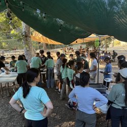 White Stag Leadership Development