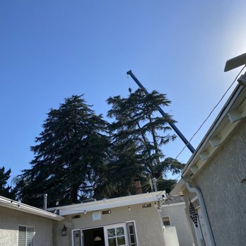 California Tree Design - Tree Services Near Me