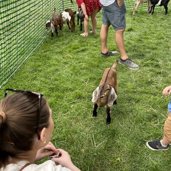 Emmett Cherry Festival - Festivals Near Me - Emmett, Idaho Emmett Cherry Festival - Festivals Near Me - Emmett, Idaho