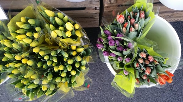 Gutta på Haugen by null