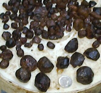 Emerald Creek Garnet Area Logo