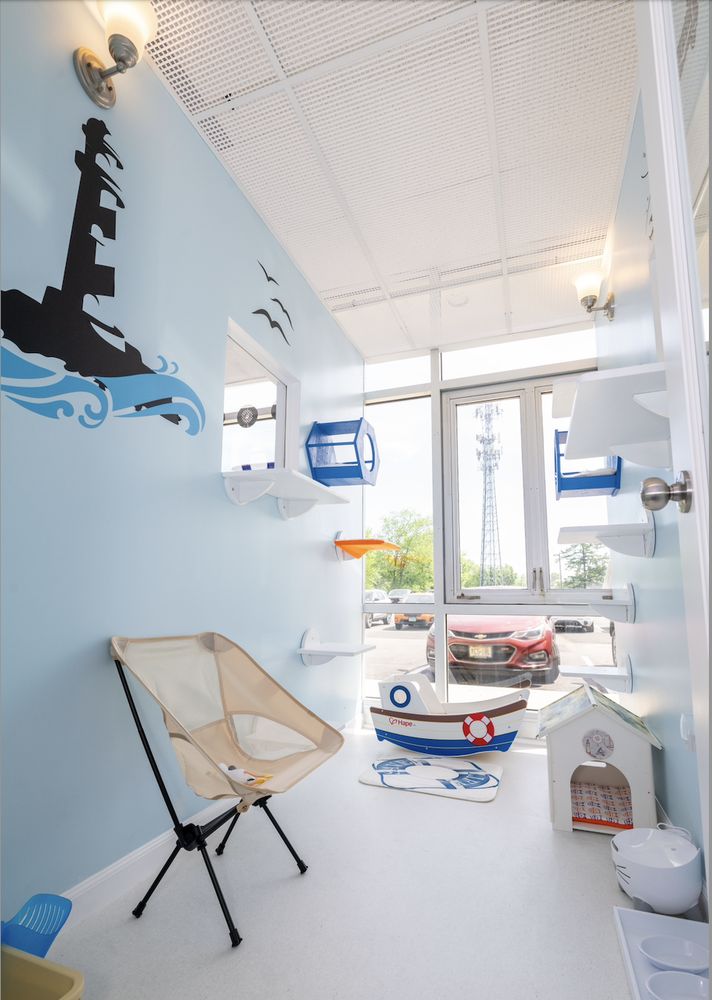 Happy Cat Hotel & Spa