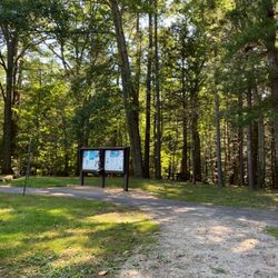 Vaughan Woods Memorial State Park - Perfect late summer Saturday