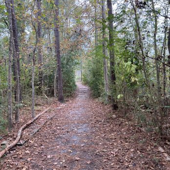 Abbey Nature Preserve - Hiking Near Me - Wilmington, North Carolina