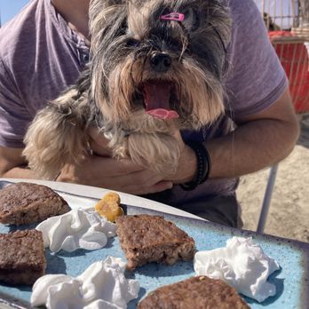 MONTY’S DOG BEACH & BAR - Updated February 2026 - 367 Photos & 166