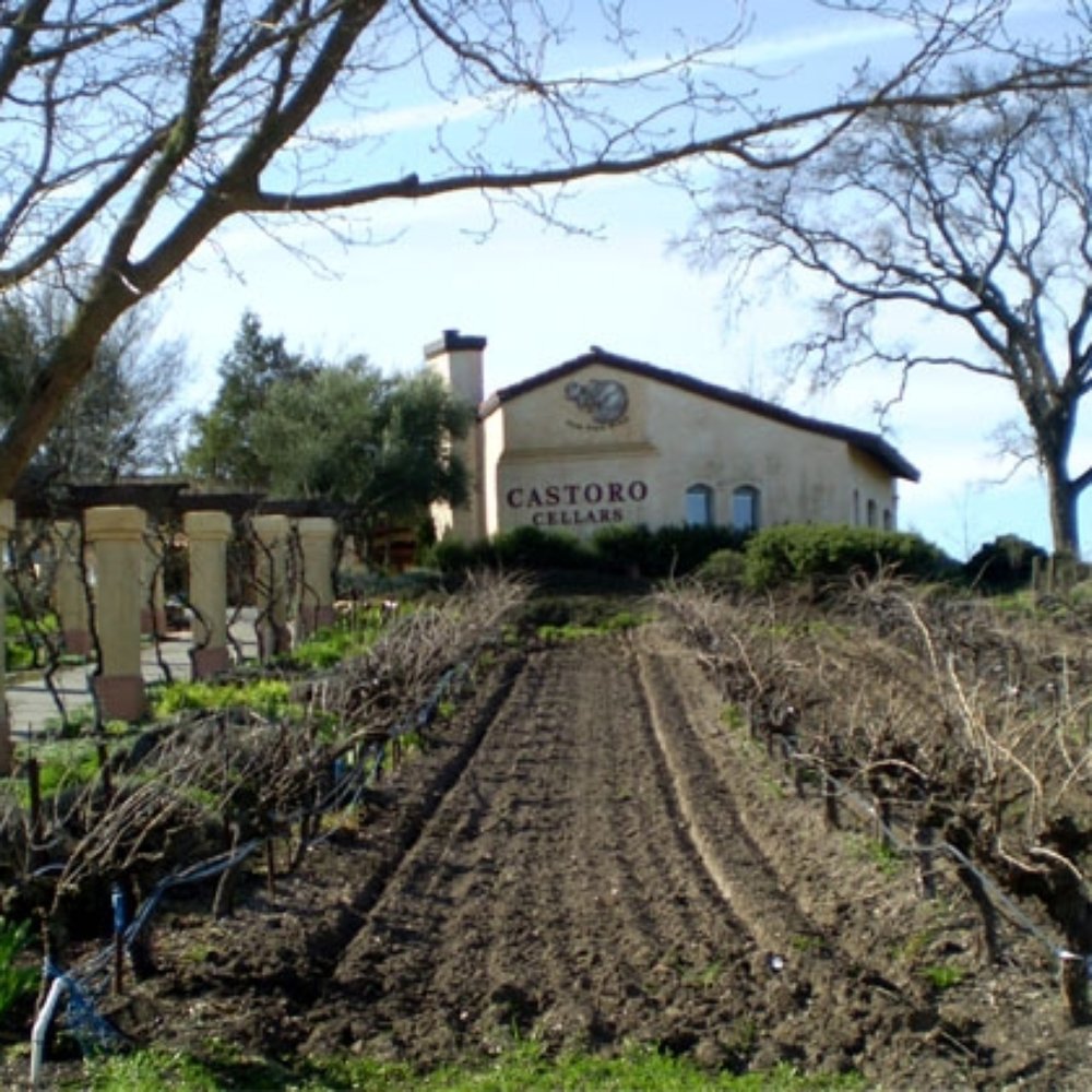 Castoro Cellars - Castoro Cellars - Wineries Near Me - Templeton, California