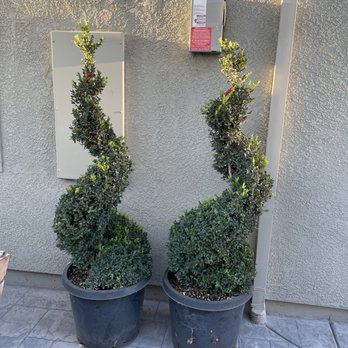 Rain Forest Nursery - Nurseries & Gardening Near Me - Manteca, California