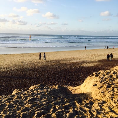 Le Grand Hôtel de la Plage Biscarrosse by null