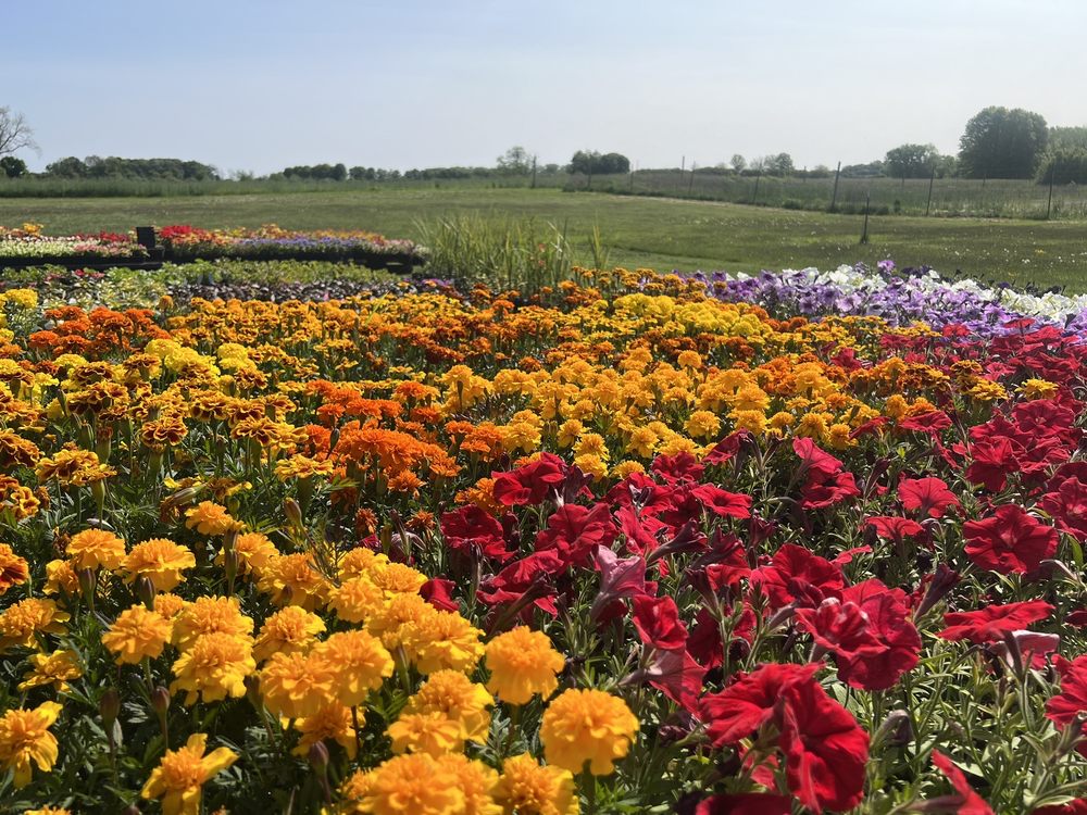 SOLLY BROS - Updated February 2026 - 12 Photos & 28 Reviews - 707