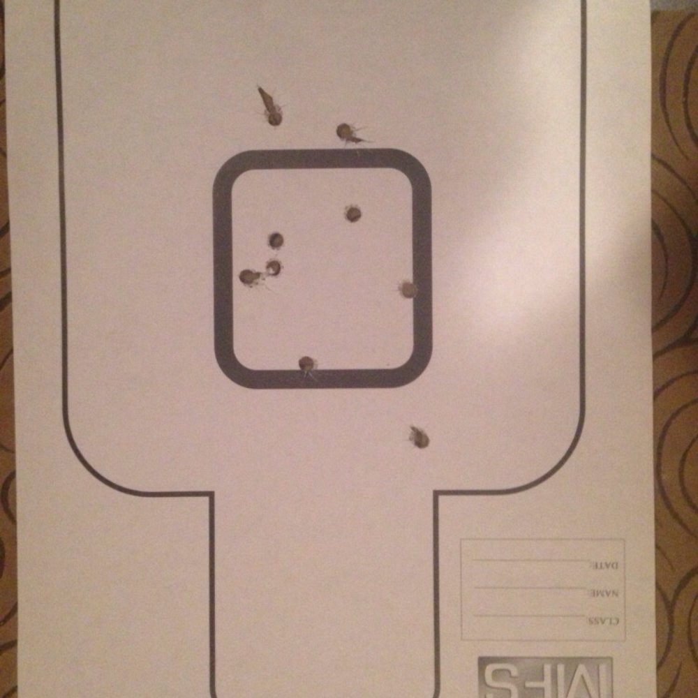 Mass Firearms - I'm happy with 357 at 25' - Gun/Rifle Ranges Near Me - Holliston, Massachusetts Mass Firearms - I'm happy with 357 at 25' - Gun/Rifle Ranges Near Me - Holliston, Massachusetts