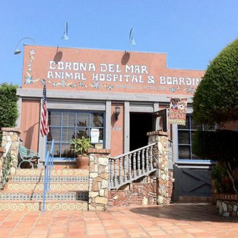 Corona del Mar Animal Hospital - Veterinarians Near Me - Corona Del Mar, California Corona del Mar Animal Hospital - Veterinarians Near Me - Corona Del Mar, California