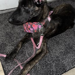 Bailey with her first bath!