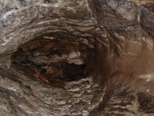 National Showcaves Centre for Wales by null