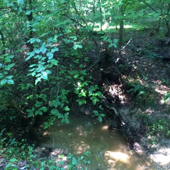 Malvern Hill Battlefield Park - Small stream along the trail - Landmarks & Historical Buildings Near Me - Richmond, Virginia Malvern Hill Battlefield Park - Small stream along the trail - Landmarks & Historical Buildings Near Me - Richmond, Virginia