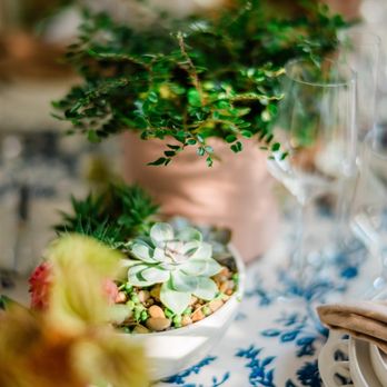 Analog Plant Rentals - Party Equipment Rentals Near Me - Seattle, Washington
