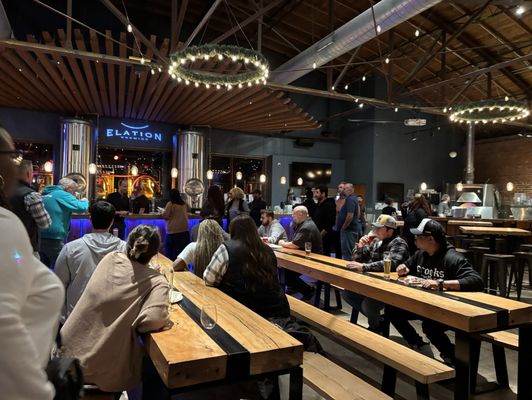 Elation Brewing by null