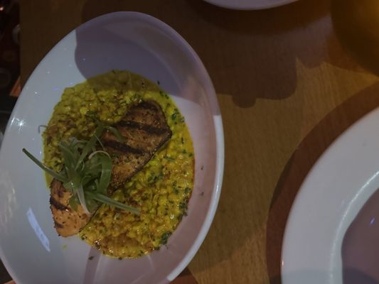 House of Blues Chicago by null