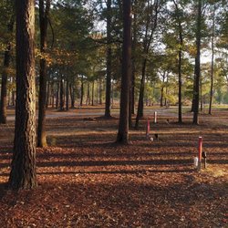 Buffalo Bayou RV Park - Picture of some of our nicely shaded RV sites.