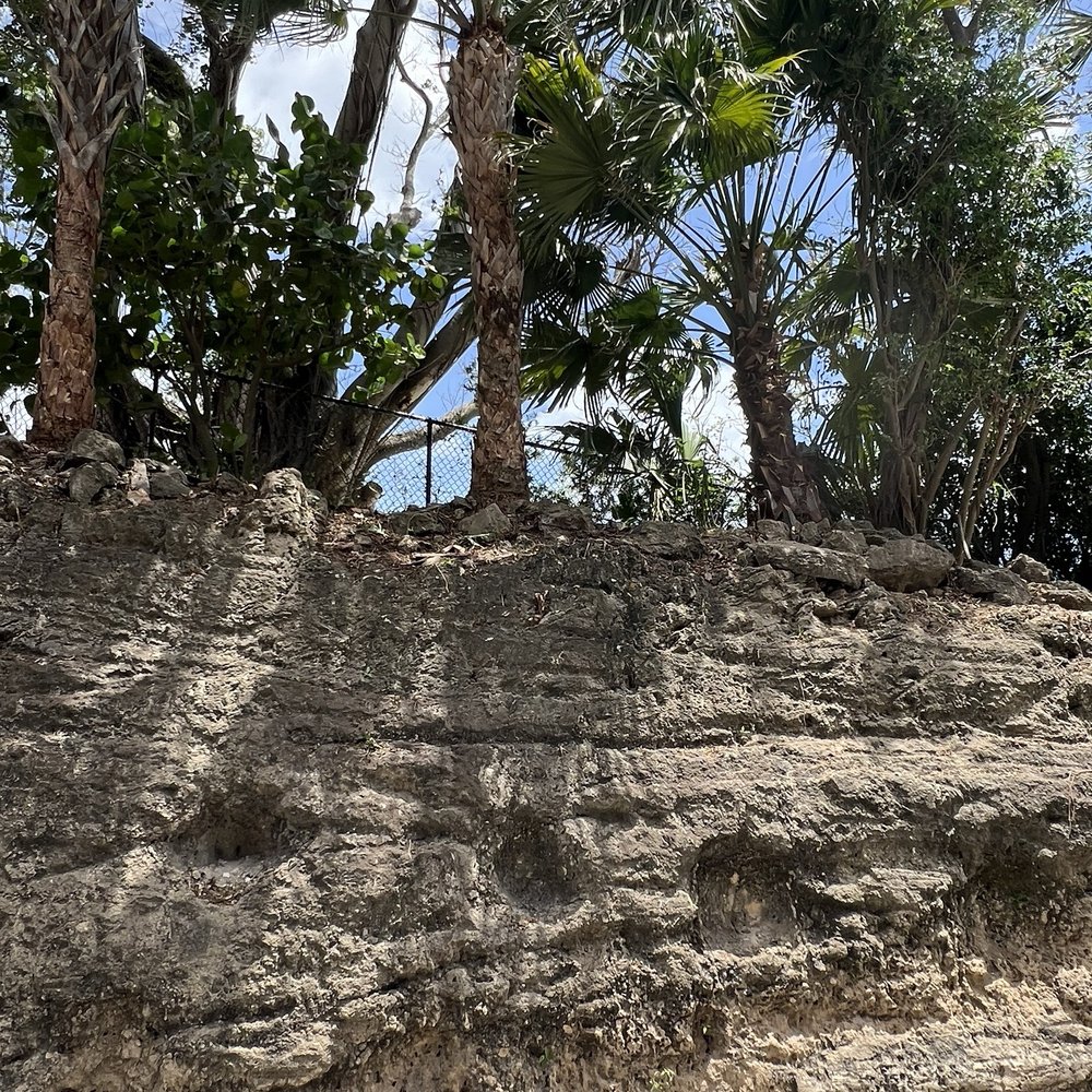 TOP 10 BEST Things to Do near Riviera Beach, FL 33404 - Updated 2025 - Yelp