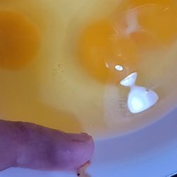 Milo's Poultry Farms - Egg worm?!