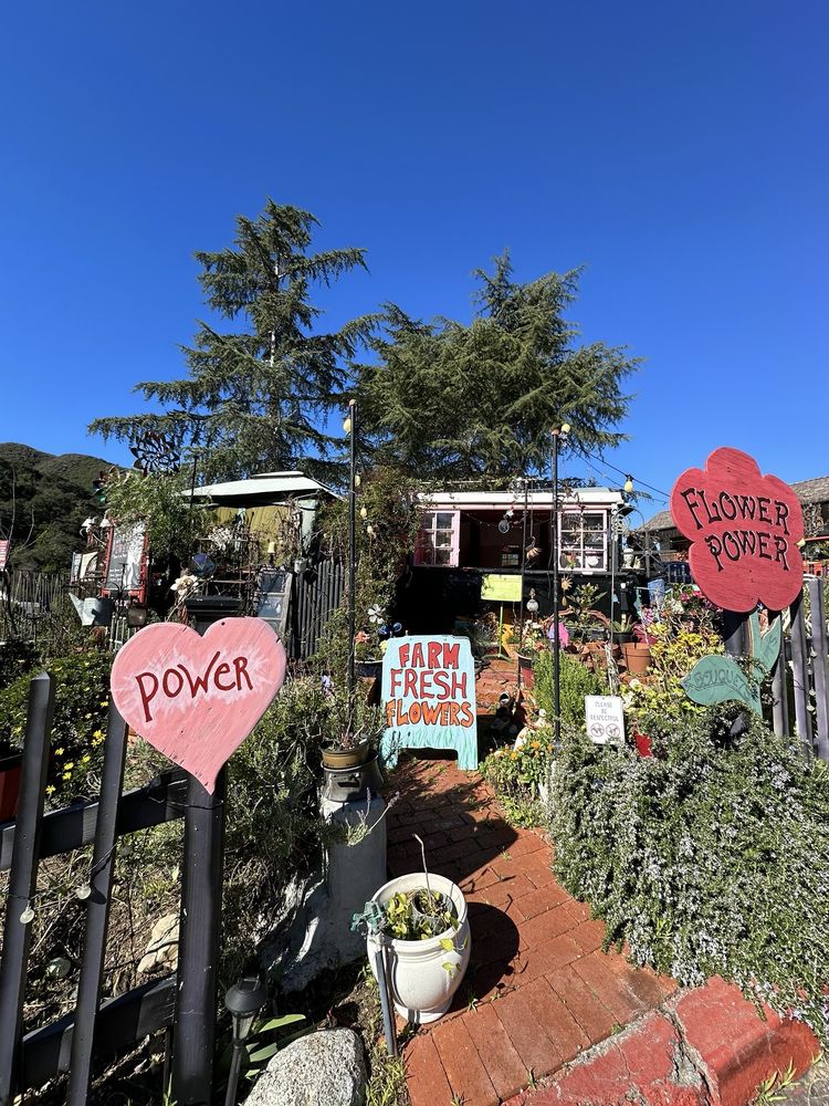 FLOWER POWER TOPANGA Updated September 2024 10 Reviews 120 S