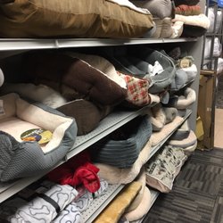 Burlington - Better off getting a pet bed here instead of a large pet chain, you'll save a ton of $!