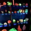 Mines Museum of Earth Science gift card