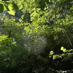 Elachee Nature Science Center