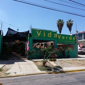 Vivero Vida Verde - Nurseries & Gardening Near Me - Oaxaca, OAX