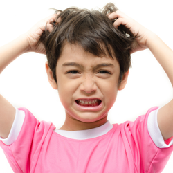 Nice Lice Removal