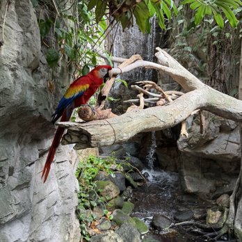 National Aquarium - Aquariums Near Me - Baltimore, Maryland National Aquarium - Aquariums Near Me - Baltimore, Maryland