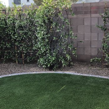 Pristine Green - After- they removed the unwanted sapling that apparently had been growing from under the back wall. - Tree Services Near Me - Gilbert, Arizona