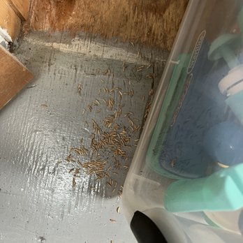 Extra Space Storage - Maggots or something similar all over the unit, dropping down from above. - Self Storage Near Me - Santa Cruz, California