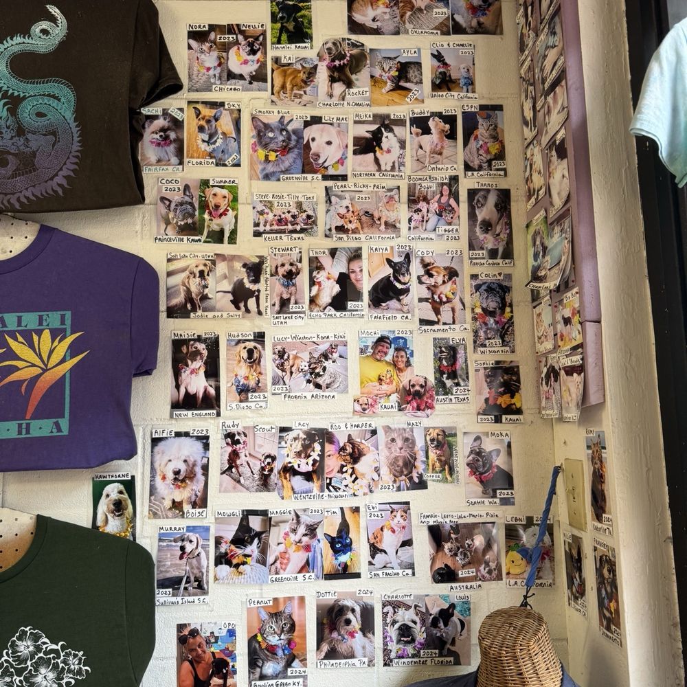 Spinning Dolphin Design - Screen Printing/T-Shirt Printing Near Me - Hanalei, Hawaii Spinning Dolphin Design - Screen Printing/T-Shirt Printing Near Me - Hanalei, Hawaii