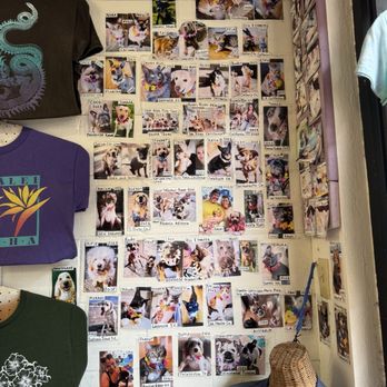 Spinning Dolphin Design - Screen Printing/T-Shirt Printing Near Me - Hanalei, Hawaii