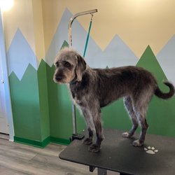 Bath Grooming Works